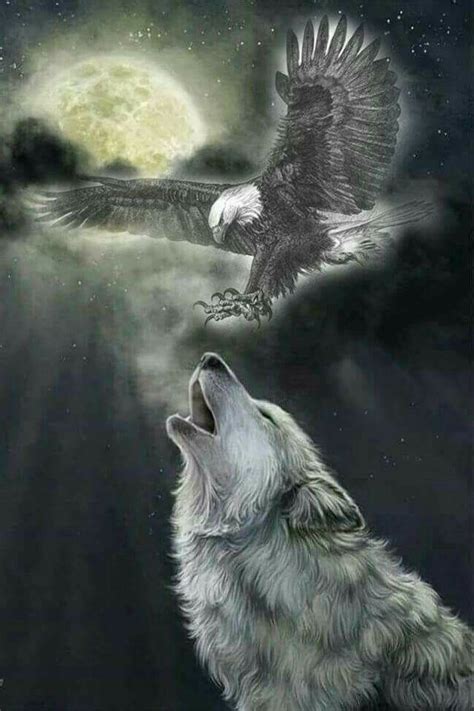 Pin De Angel Seeker En Wolves Amor De Lobo Fotos De Lobo Imagenes