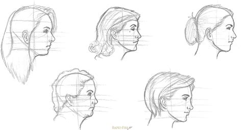How To Draw A Female Face From The Side How To Draw A Female Face