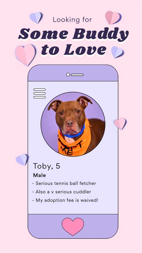 These Valentines Dating Profiles Of Pets Looking For A Home Will Melt