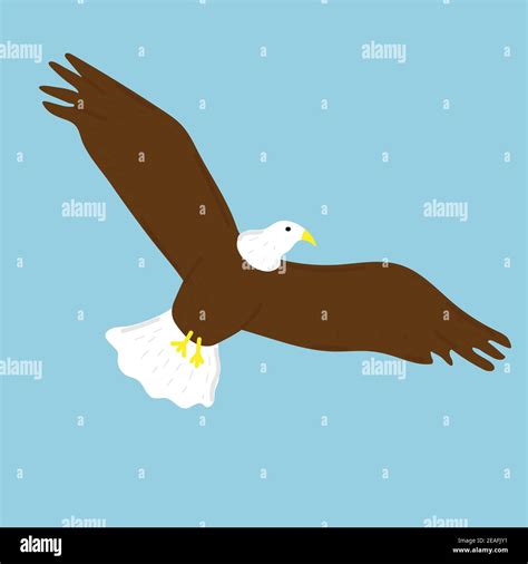 Bald Eagle With Golden Beak Hand Drawn Vector Illustration Isolated On