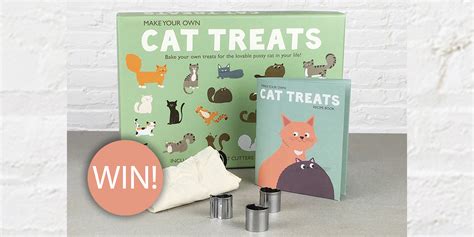 E 0807 Win A Make Your Own Cat Treats Kit From Dash And Dot