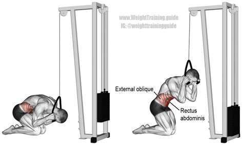 Kneeling Cable Crunch Instructions And Video Weight Training Guide