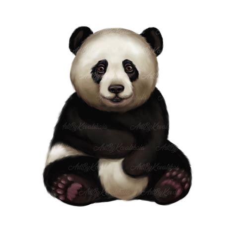Panda Png Panda Clipart Digital Download Etsy Canada