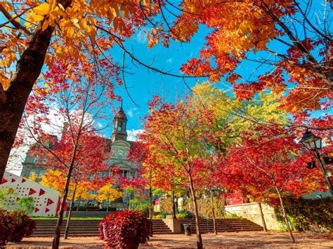 Fall In Quebec City The Perfect Time To Go Corporate Stays Beyond