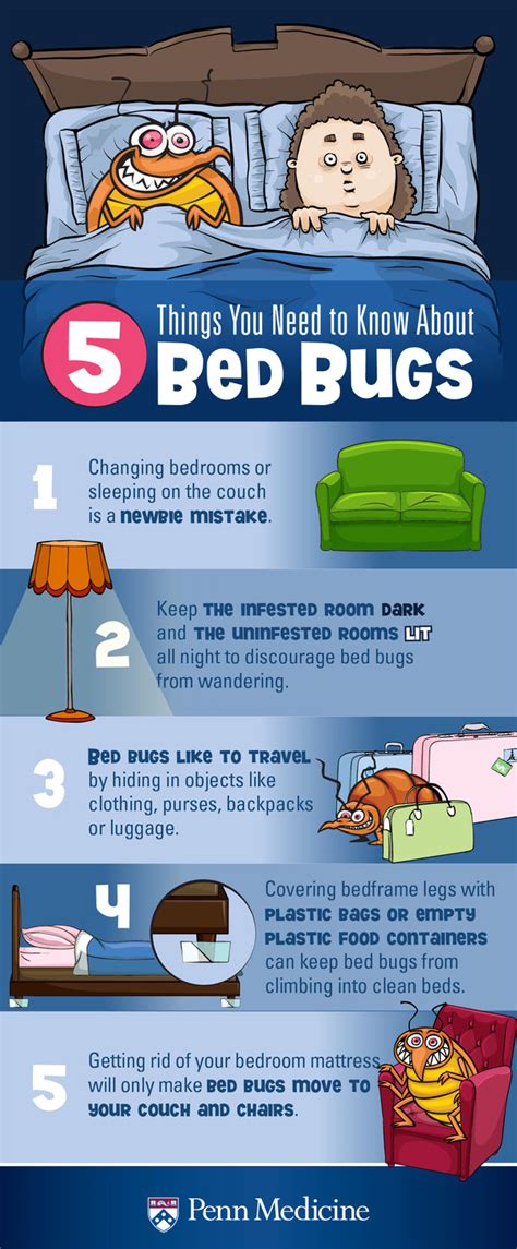 How To Prevent Bed Bug From Biting You Bed Bug Get Rid