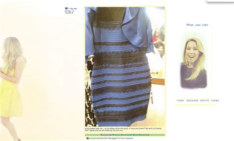 What Color Is This Dress Gold And White Or Blue And Black Dress