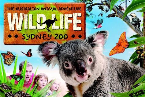 Sydney Wildlife Park Darling Harbour Wildlife Australian Animals
