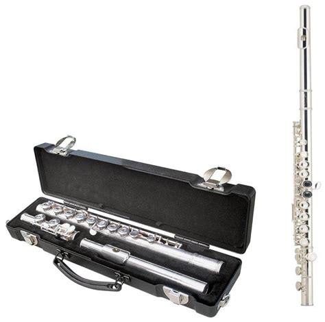 Flute Rental 10 Months Irvine Academy Of Music