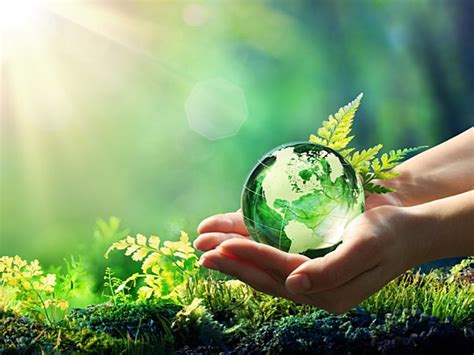 Need For Environment Friendly Businesses