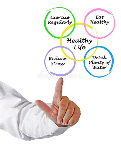 Diagram Of Healthy Life Stock Photo Image Of Finger 246900356