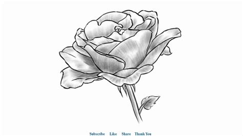 How to draw a Beautiful Rose with Shading Easy to Draw ...