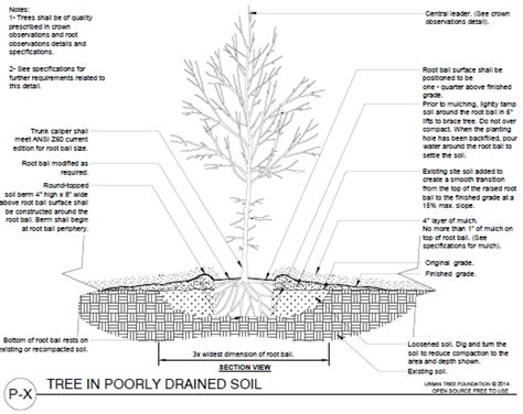 Ansi Planting Details And Specifications For Landscape Designs Center