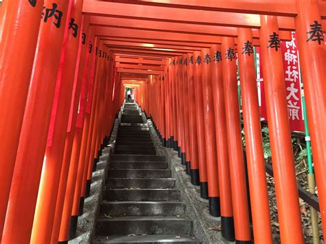 Hie Shrine The Hidden Shrine In Tokyo With Red Torii Gates Tunnel