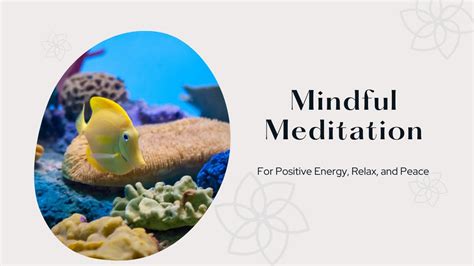 Aquarium Meditation Session Relaxing Music A Therapy For Your Ears