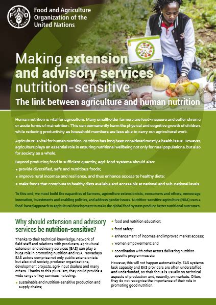 Making Extension And Advisory Services Nutrition Sensitive The Link