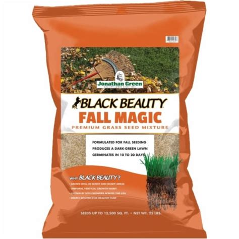 Jonathan Green Black Beauty Fall Magic Grass Seed Lb Bag Kroger