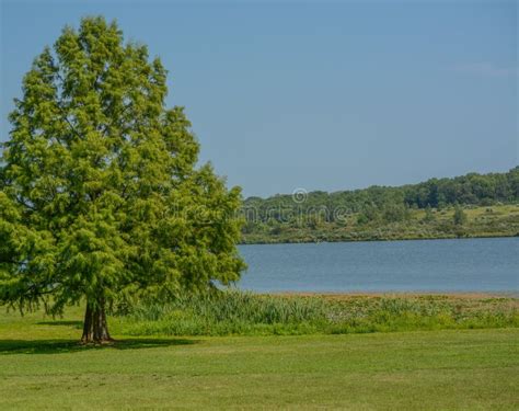 Shabbona Lake Of Illinois Stock Image Image Of Dekalb 37093889
