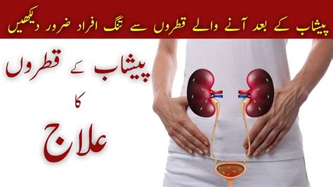 Urine Drops Problems Peshab Ke Qatron Ka Ilaj Treatment Urduhindi Hakeem Malik Ahmad