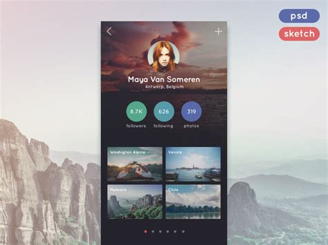At least, it's written in his profile on the website, where future travelers first go when searching for a tour. Travel App Profile (.sketch + .psd) by Stelian Firez on ...
