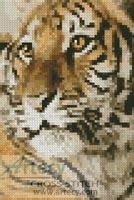 Artecy Cross Stitch Mini Bengal Tiger Cub Counted Cross Stitch Pattern