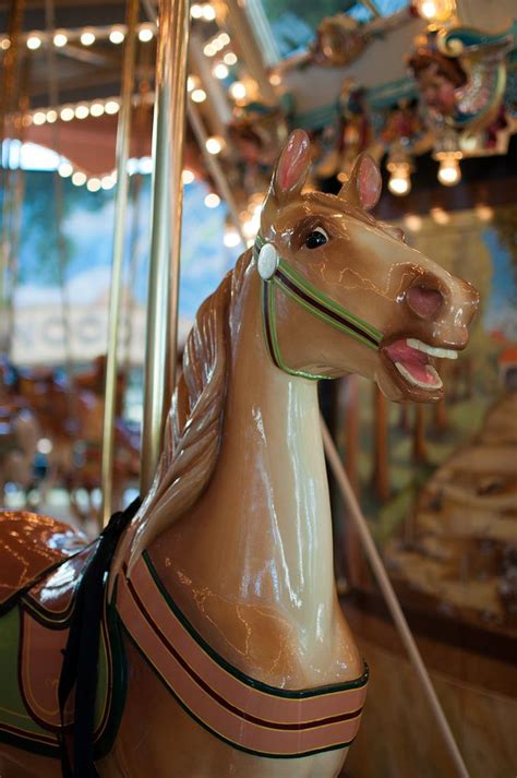 Philadelphia Touch Museum Carousel Horses Riding Roller Coaster Ride