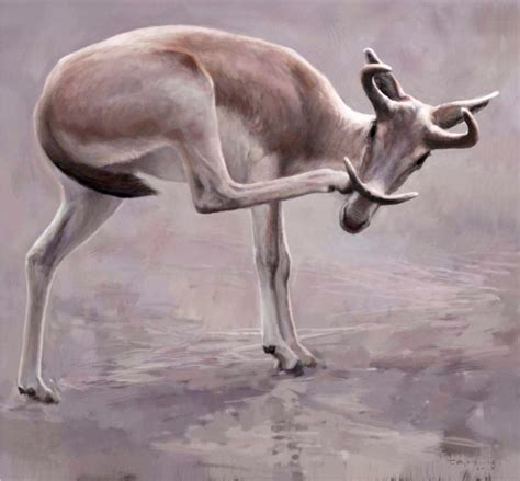 Syndyoceras Is A Small Extinct Genus Of Even Toed Ungulates Hoofed