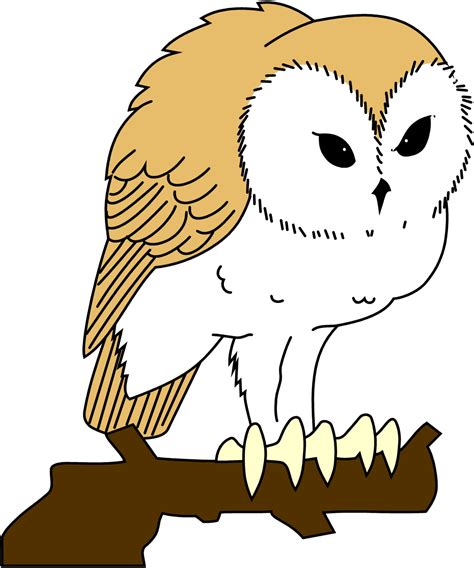 Barn Owl Cartoon Clipart Free Download On Clipartmag