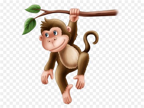 Monyet Primata Para Carnivora Gambar Png