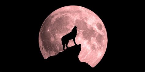 Super Blood Wolf Moon Is Coming How To Watch This Weekends Rare