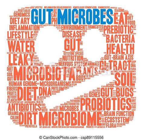 Gut Microbes Images Search Images On Everypixel