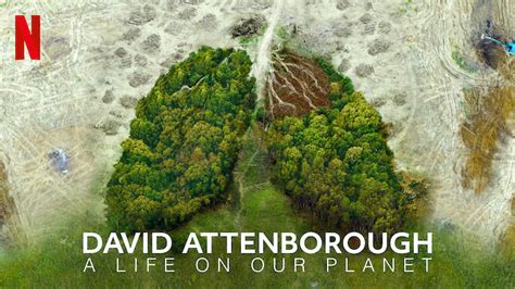 David Attenborough A Life On Our Planet 2020 Netflix Flixable