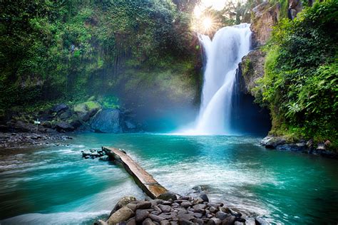 Waterfall Hidden In The Tropical Jungle Nature Wallpaper Cool Digital Photography