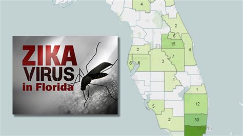 Zika Tracker Cases In Florida Updated Daily