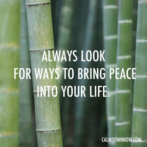 Always Look For Ways To Bring Peace Into My Life Pretty Quotes Peace