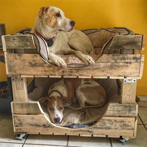 Large Dog Bed For 2 Bunk Bed Dog Bed Large Dog Pet Beds Dog Bunk Beds