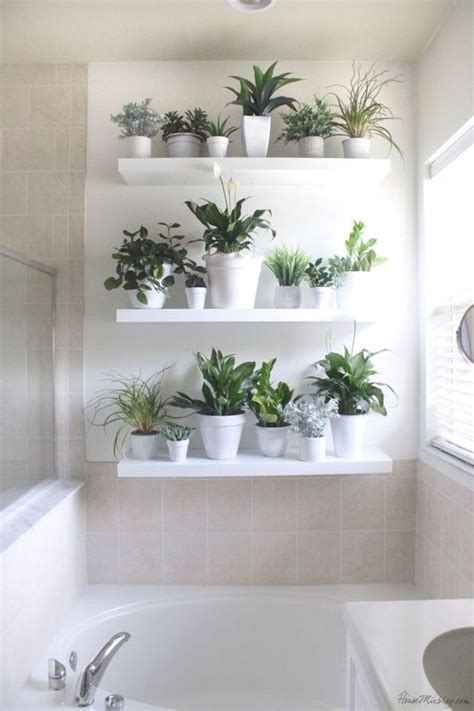 Inspiring Floating Window Plants Design Ideas 10 Bathroom Plants