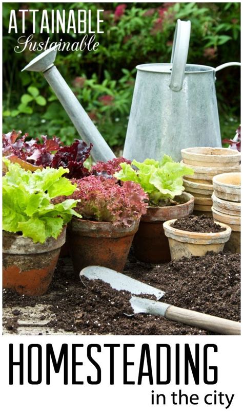 Pin On Diy Homesteading Ideas For Beginners