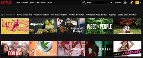Watch Weeds All 8 Seasons On Netflix From Anywhere In The World Mobilityarena