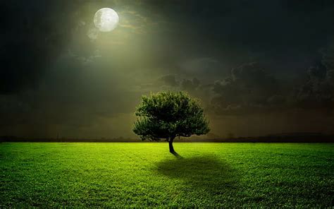 Hd Wallpaper Moonlight Field Tree Grass Night Sky Green Clouds