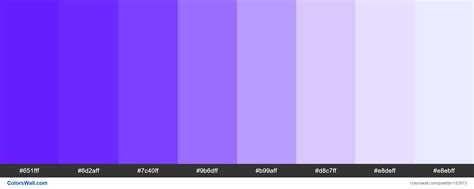 Twitch Purple Colors Palette Colorswall