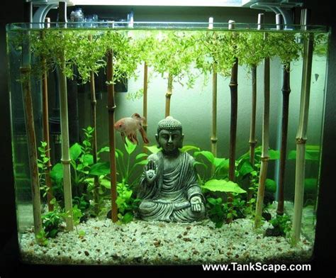 Wow 10 Cool Fish Tank Decoration Ideas And How To Copy Them Tfcg