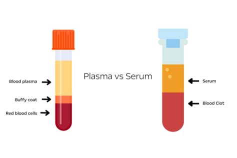 Plasma Or Serum Their Differences And Uses In Medical Research