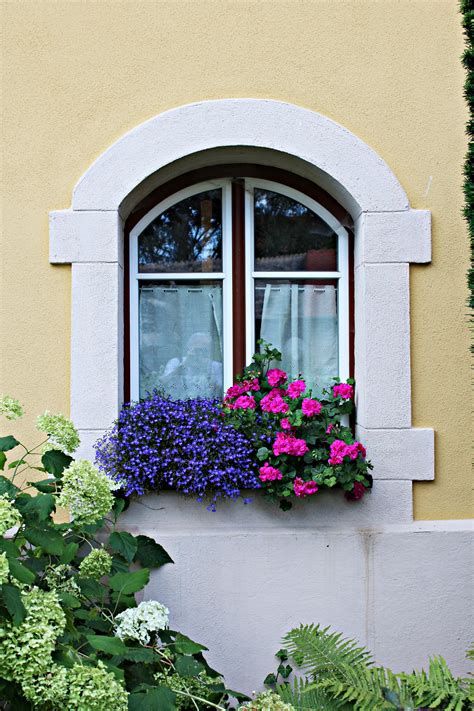 Free Images Architecture Plant House Window Building