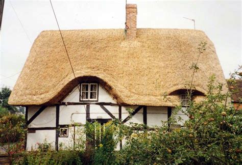 An Old Thatched Roof House With Bushes And Trees Around It In The