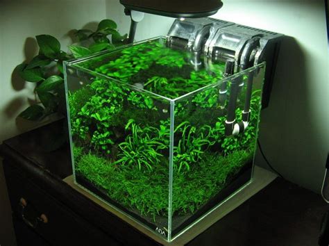 If you want some tips on aquascaping your planted nano tank, you have come to the right place! rimless planted aquarium | Nano aquarium, Aquascape ...