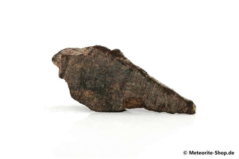 Dhofar 020 Meteorit Dhofar 020 Steinmeteorit Aus Dem Oman Kaufen