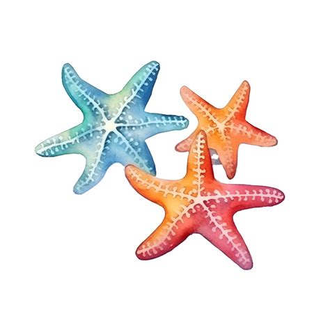 Starfish Watercolor Clipart Ai Generated 24065352 Png