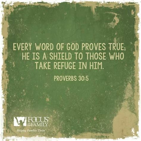 Every Word Of God Proves True He Is A Shield To Those Who Take Refuge