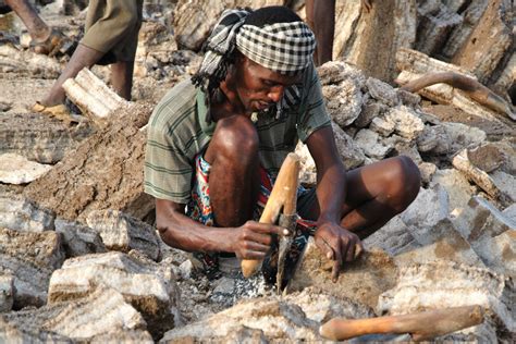 An uncommonly small rat was watching an uncommonly big elephant and sneering at the slowness of his steps. Expedition in the Danakil desert to explore the salt flats ...