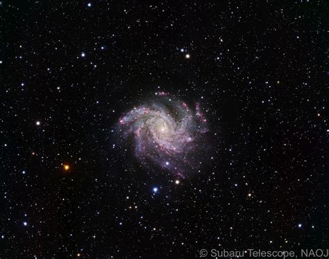 Star Formation In Face On Spiral Galaxy Ngc 6946 Naoj National